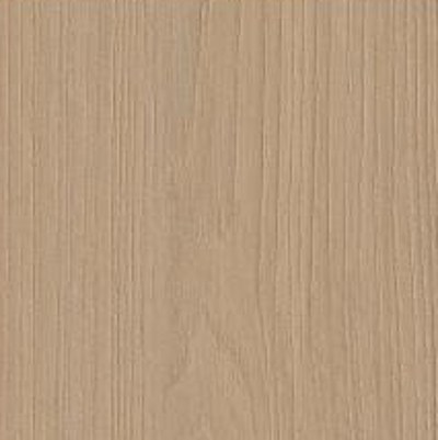 Sicilian Elm 1